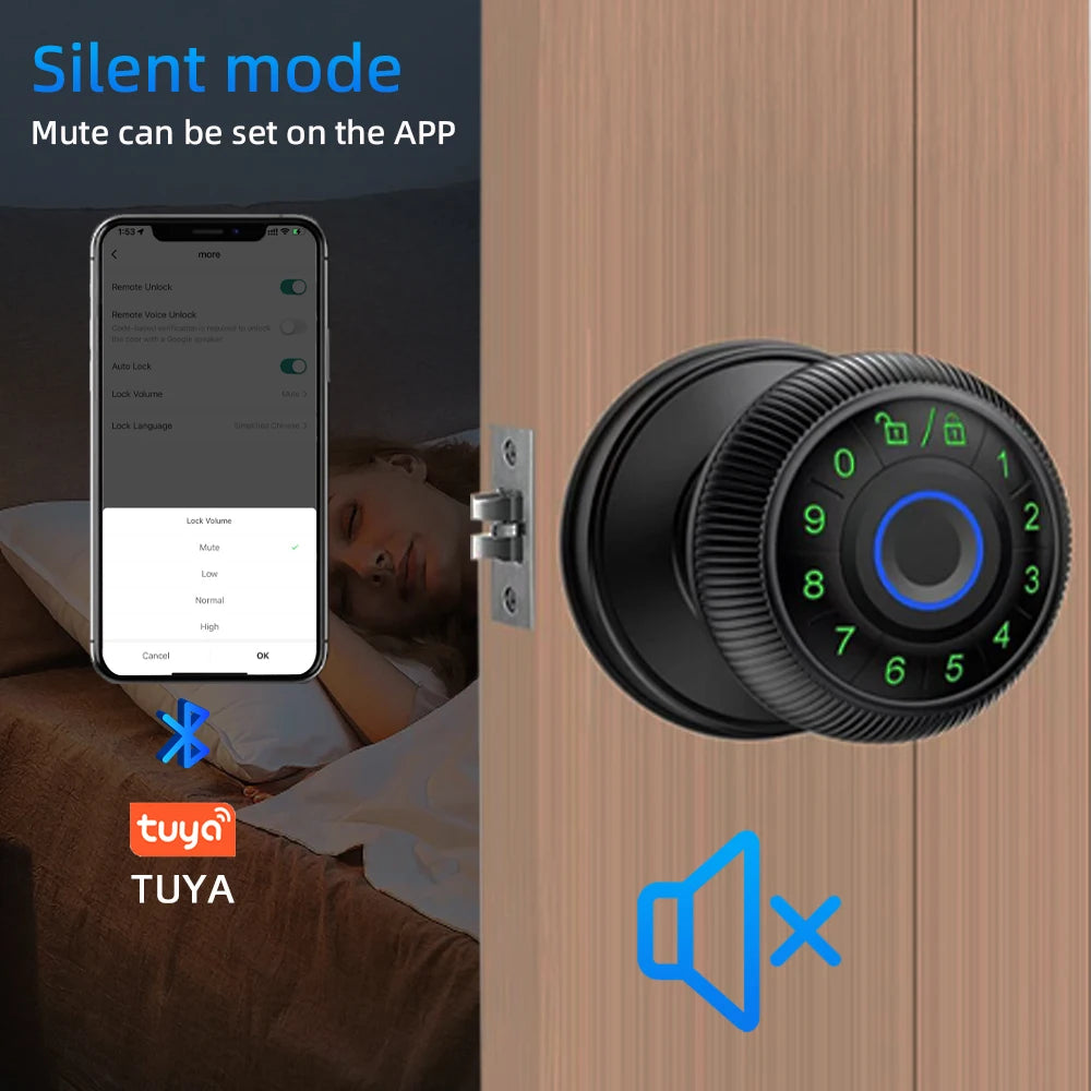 Q6 Smart Fingerprint Door Lock – Biometric, Keypad & App Access